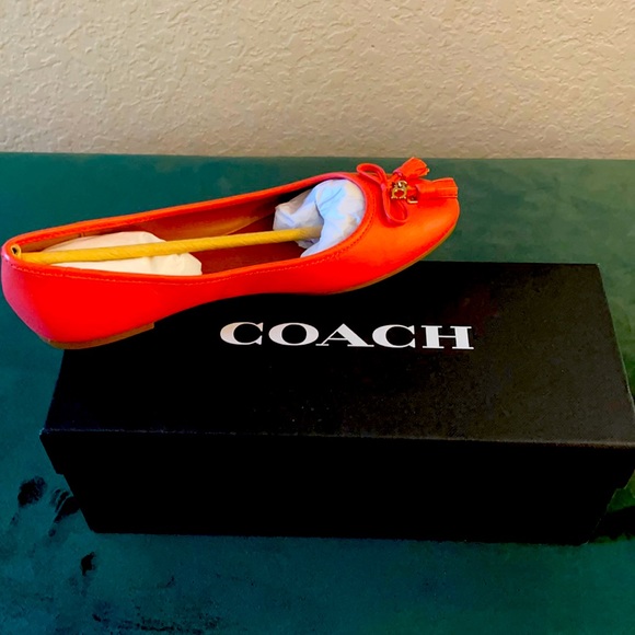 Coach Shoes - Coach Benni LTR Flat